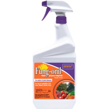 BONIDE 883 Fung-onil Fungicide Ready-to-Use, 1 quart