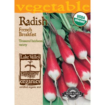 Raphanus, Radish 'French Breakfast'