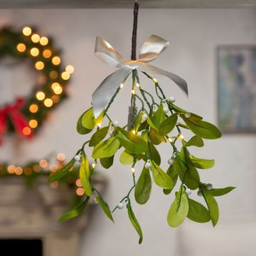 Mistletoe Branch, Warm White LED Lights & Timer