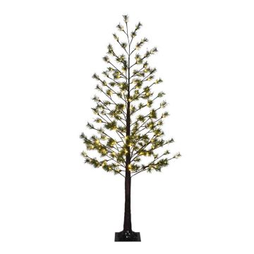 Glenhaven Home & Holiday LED Austrian Pine Tree Twinkling Warm White 6FT