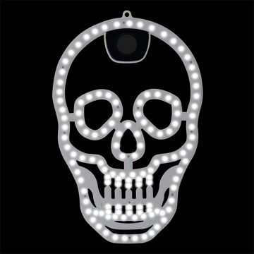 LED Advanced Holiday Lighting® Skull Hi-Vibrant LED Lighted 16IN