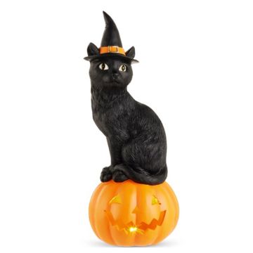 RAZ Black Cat Witch on Jack O Lantern