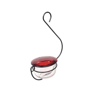Backyard Essentials Hummingbird Glass Hummingbird Feeder Nectar Bird Feeder