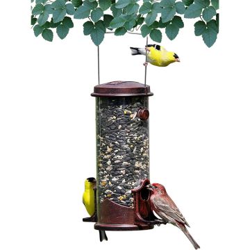 Backyard Essentials Bird Feeder Petite Copper Tube Feeders