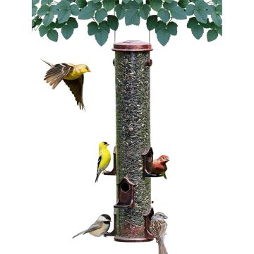 Backyard Essentials Bird Feeders Mammoth Cooper Tube