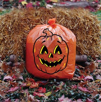 Yard Decor, Pumpkin Yard Waste Bag, 32 Gallon