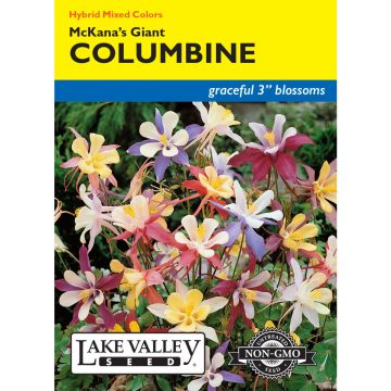 Aquilegia, Columbine 'McKana’s Giant' Mixed Colors