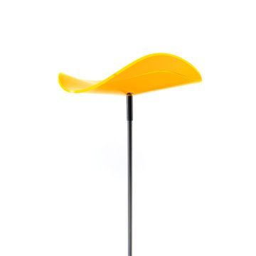 Cazador-del-sol Lucy, Medium, Yellow
