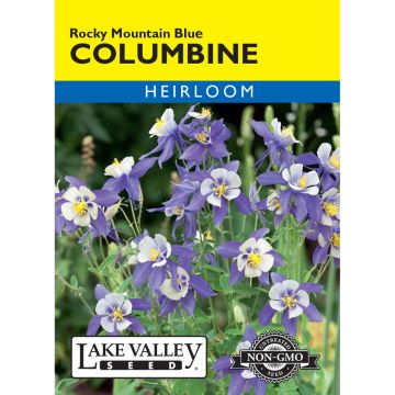 Aquilegia, Columbine 'Rocky Mountain Blue'