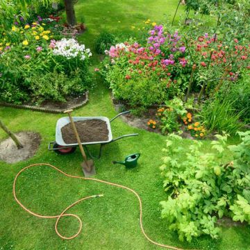 Landscape Coaching Clinic | Sunday March 29th