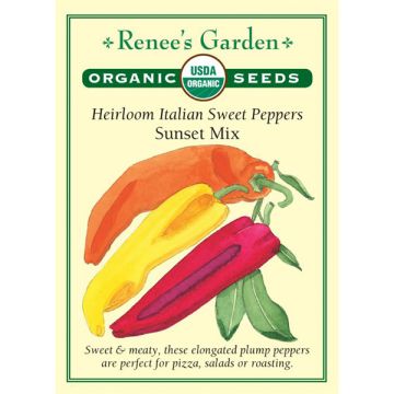 Capsicum, Pepper (Sweet) Mix, Italian Sweet Peppers Sunset Mix ~ 35 seeds