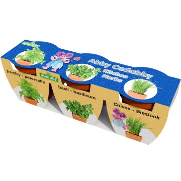 Sesame Street Abby Cadabby's Herbs Set