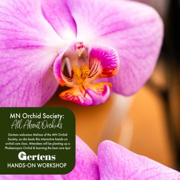 All About Orchids | Saturday February 21st at 10am