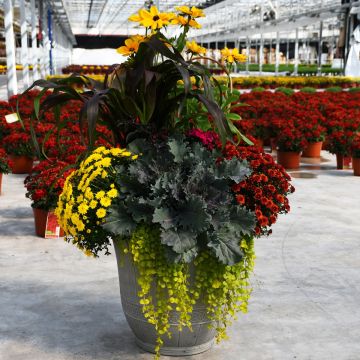 18"" Round Patio Planter