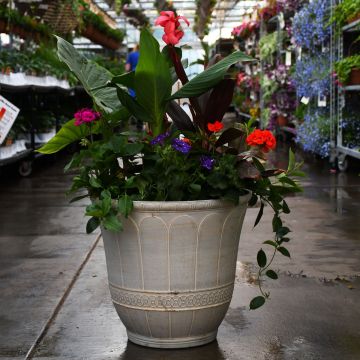 'Awesome Combo' Jumbo Patio Planter, Round