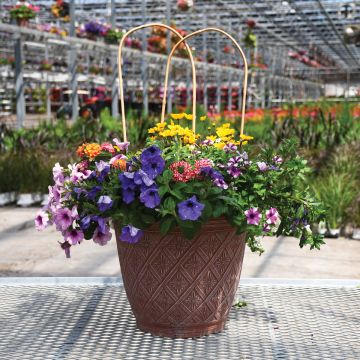 16" Awesome Combo Round Patio Planter