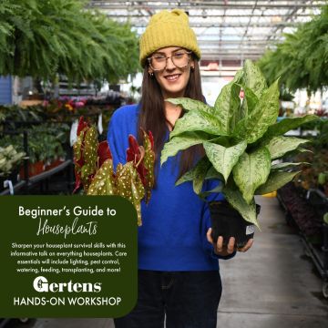 Beginners Guide to Houseplants | Saturday March 14th at12pm