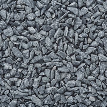 Exotic Pebbles & Glass Natural Bean Pebbles Black 5 lb