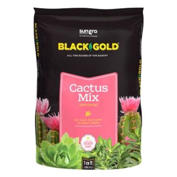 Black Gold Cactus Mix, 8 qt.