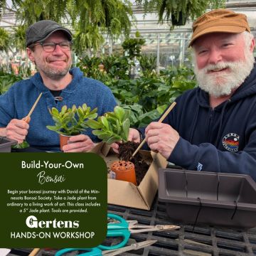 Jade Bonsai Workshop | March 15th at 10am