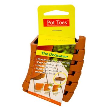 Bosmere, Pot Toes Terra Cotta, 6 Pack