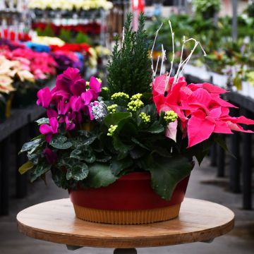 Brilliant Blooms Bowl