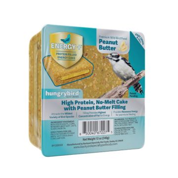hungrybird® Peanut Butter Filled Energy Plus™ Protein Filled Energy Cake 12 oz