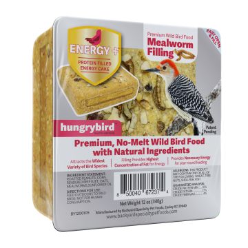 hungrybird® Mealworm Filled Energy Plus™ Protein Filled Energy Cake 12 oz