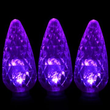 Gabriel Lights® LED C6 Facet Purple String Lights