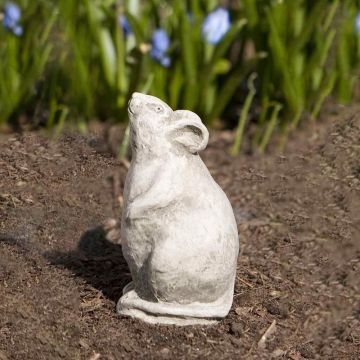 Campania Mousie Greystone