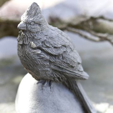 CAMPANIA Cardinal Alpine Stone