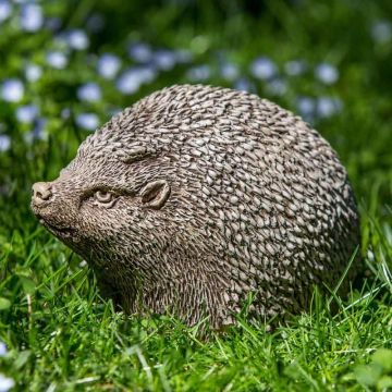 Campania Hedgehog Hedgerow Brownstone
