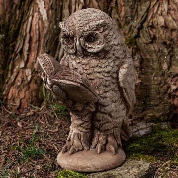 CAMPANIA Scholarly Owl Brownstone