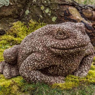 CAMPANIA Forest Toad Brownstone