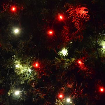 Gabriel Lights® LED 5mm Wide Angle Red & Warm White String Lights
