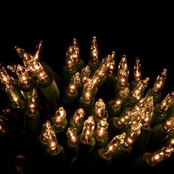 Gabriel Lights® Incandescent Mini T5 Glass Clear String Lights