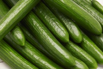 Cucumis, Cucumber 'English'