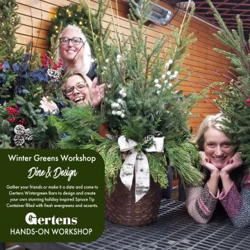 Dine & Design Winter Greens Container Workshop | Tuesday November 18 5:30pm