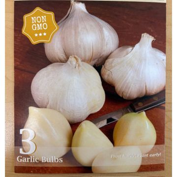 Allium, Seed Garlic Softneck 'California' (spring)