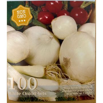 Allium, White Onion Set 'Snowball'