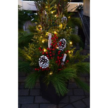 'Deluxe Doorstep Charmer' Spruce Tip Square Container with Lights