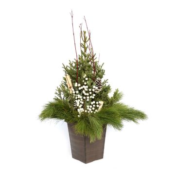 'Deluxe Doorstep Charmer' Spruce Tip Square Container with White Accents