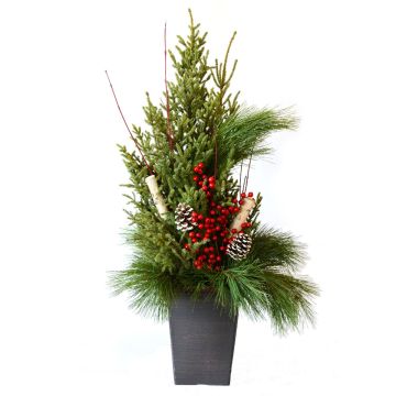 'Deluxe Doorstep Charmer' Spruce Tip Square Container