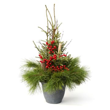 'Deluxe Doorstep Charmer' Spruce Tip Round Container
