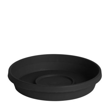 Bloem, Terra Saucer, Black