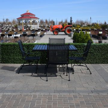Gabriel Gardens™ Morrison 5 Piece Dining Set