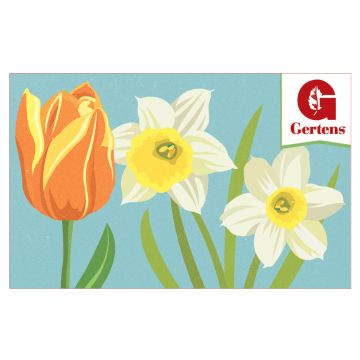Early Spring Flowers - Gift Card