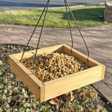 hungrybird® Peanut Butter Energy Complete™ High Protein Suet Bites 3 lb