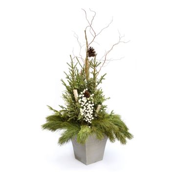 'Elegant Designer' Spruce Tip Container with White Accents