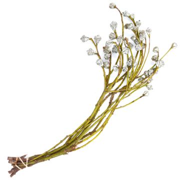 Eucalyptus with Silver Bells Pods